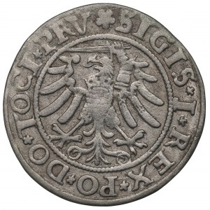 Sigismund I the Old, Groschen 1533, Elbing
