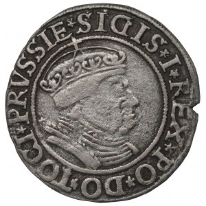 Sigismund I the Old, Groschen for Prussia 1534, Thorn