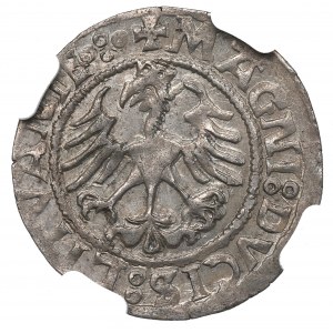 Sigismund I the Old, Halfgroat 1521, Vilnius - NGC MS63