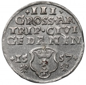 Sigismund II Augustus, 3 Groschen 1557, Danzig