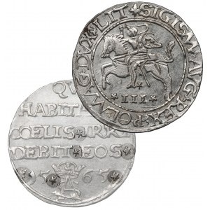 Sigismund II Augustus, 3 groschen 1565, Tiktin