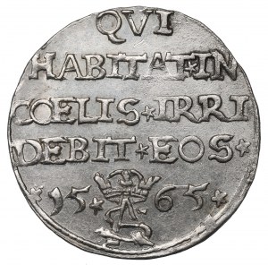 Sigismund II Augustus, 3 groschen 1565, Tiktin