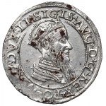 Sigismund II Augustus, 4 groschen 1565, Vilnius - LI/LIT