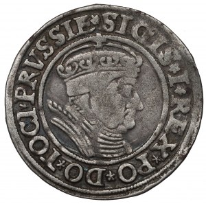 Sigismund I the Old, Groschen for Prussia 1535, Thorn -
