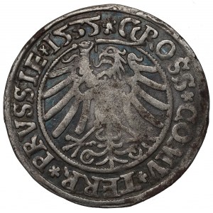 Sigismund I the Old, Groschen for Prussia 1535, Thorn -