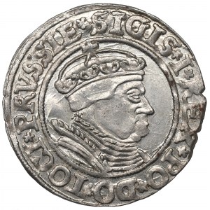 Sigismund I the Old, Groschen for Prussia 1535, Thorn -