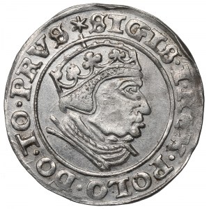 Sigismund I the Old, Groschen 1540, Danzig