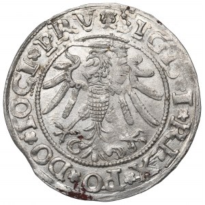 Sigismund I the Old, Groschen 1535, Elbing