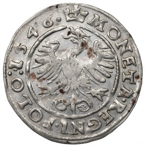 Sigismund I the Old, Groschen 1546, Cracow