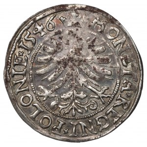 Sigismund I the Old, Groschen 1546, Cracow