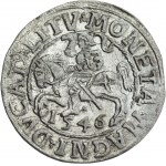 Sigismund II Augustus, Halbpfennig 1546, Wilna, LI/LITV - selten