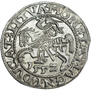 Sigismund II Augustus, Half-grosz 1552, Vilnius, LI/LITVA - rarer