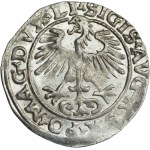 Sigismund II Augustus, Half-grosz 1554, Vilnius, LI/LITVA - BEAUTIFUL