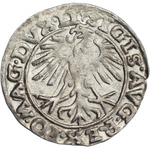 Sigismund II Augustus, Half-grosz 1557, Vilnius, Behm stamp and dots - V. RARE
