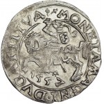 Sigismund II Augustus, Half-grosz 1557, Vilnius, Behm stamp and dots - V. RARE