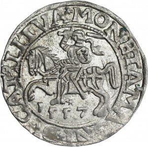 Zygmunt II August, Półgrosz 1557, Wilno, LI/LITVA - piękny
