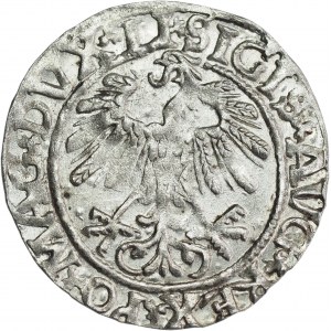 Sigismund II Augustus, Half-grosz 1558 Vilnius - L/LITV - BEAUTIFUL