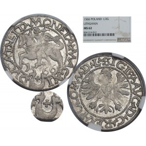 Zygmunt II August, Półgrosz 1566, Tykocin, duży Jastrzębiec, L/LIT - NGC MS62