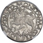 Zygmunt II August, Półgrosz 1566, Tykocin, duży Jastrzębiec, L/LIT - NGC MS62