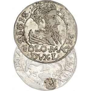 Sigismund II Augustus, Polish foot grosz 1566, Tykocin, Jastrzębiec coat of arms - V. RARE