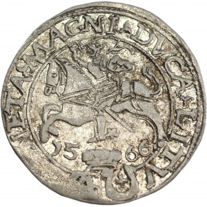 Sigismund II Augustus, Polish foot grosz 1566, Tykocin, Jastrzębiec coat of arms - V. RARE