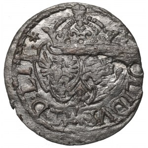 Sigismund III. Vasa, Schafott 1618, Vilnius