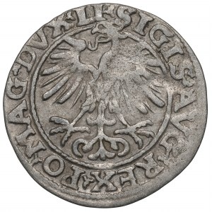 Sigismund II. Augustus, Halbergroschen 1554, Wilna - LI/LITVA
