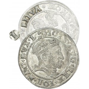 Sigismund II Augustus, Lithuanian foot grosz 1546, Vilnius, L/LITVA - RARE