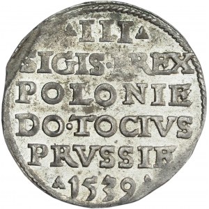 Sigismund I the Old, Trojak 1539, Elbląg - BEAUTIFUL