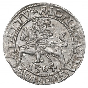 Sigismund II Augustus, Halfgroat 1564, Vilnius - L/LITV