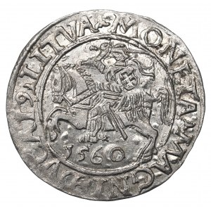 Sigismund II Augustus, Halfgroat 1560, Vilnius - L/LITVA
