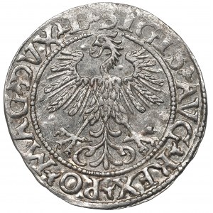 Sigismund II Augustus, Halfgroat 1560, Vilnius - L/LITVA