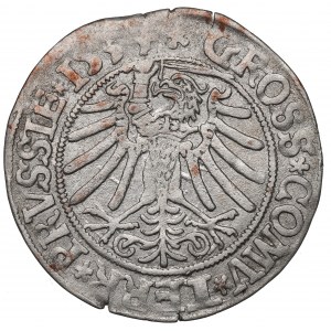 Sigismund I the Old, Groschen for Prussia 1534, Thorn
