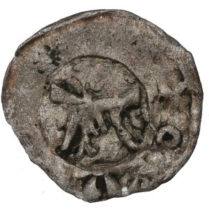 Casimir III the Great, Denarius without date, Cracow