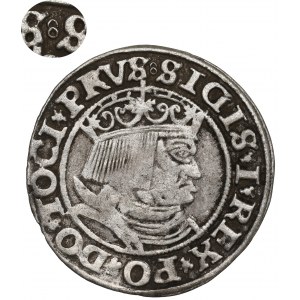Zygmunt I Stary, Grosz dla ziem pruskich 1531, Toruń - PRVS/PRVSS