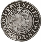 Zygmunt I Stary, Grosz dla ziem pruskich 1531, Toruń - PRVS/PRVSS