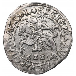 Sigismund August, 3 groschen 1566