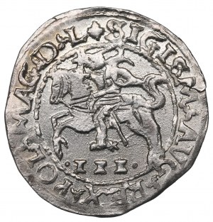 Sigismund August, 3 groschen 1566