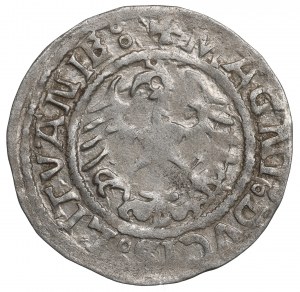 Sigismund I the Old, Halfgroat 1521, Vilnius