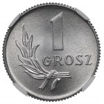 PRL, 1 grosz 1949 - NGC MS67