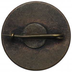 II RP, Patriotic badge of Gen. Haller - St. Poplawski