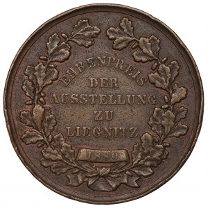 Śląsk, Medal nagrodowy wystawy w Legnicy 1880