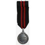 Finland, The Winter War 1939-40 medal