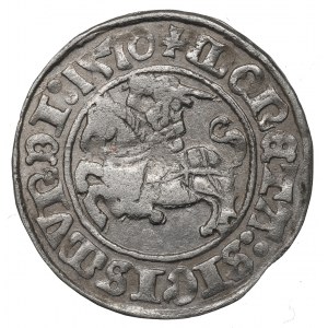 Zygmunt I Stary, Półgrosz 1510, Wilno - 1510/LITVANIE