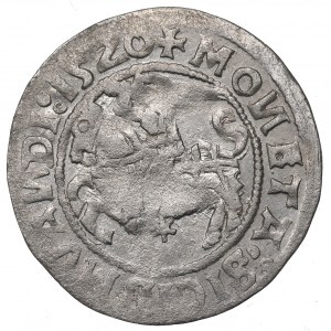 Sigismondo I il Vecchio, mezzo penny 1520, Vilnius - 1520/LITVANIE:-: