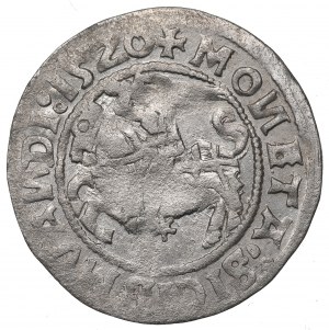 Sigismund I the Old, Halfgroat 1520, Vilnius