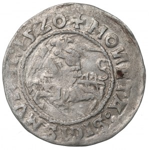 Sigismund I the Old, Halfgroat 1520, Vilnius