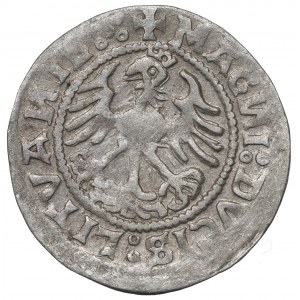 Sigismund I the Old, Halfgroat 1520, Vilnius
