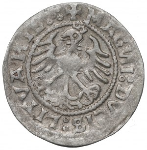 Sigismund I the Old, Halfgroat 1520, Vilnius