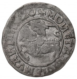 Sigismund I the Old, Halfgroat 1520, Vilnius